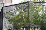 DSC_9186.JPG